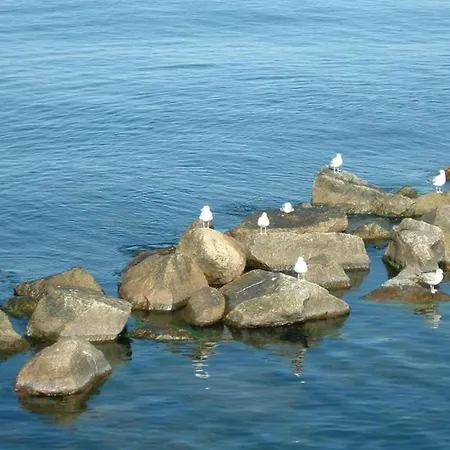 Modern Houseboat For 4 Guests *