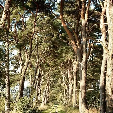 Botel Modern Houseboat For 4 Guests Peenemunde