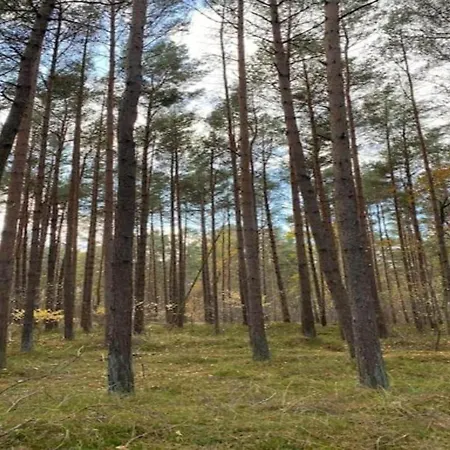 Modern Houseboat For 4 Guests Botel Peenemunde